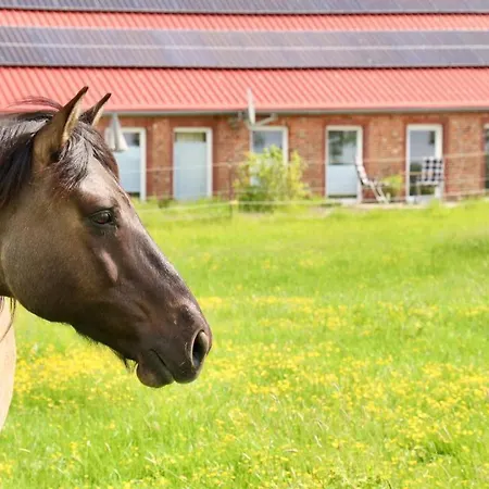 شقة Neu! 4 Sterne Soemmerland *